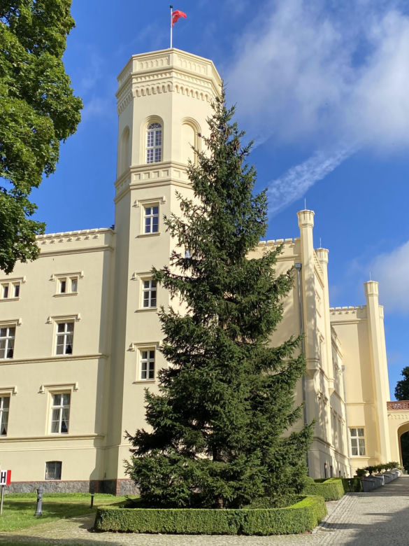 Pałac Mierzęcin w Lubuskiem - zdjęcia rezydencji