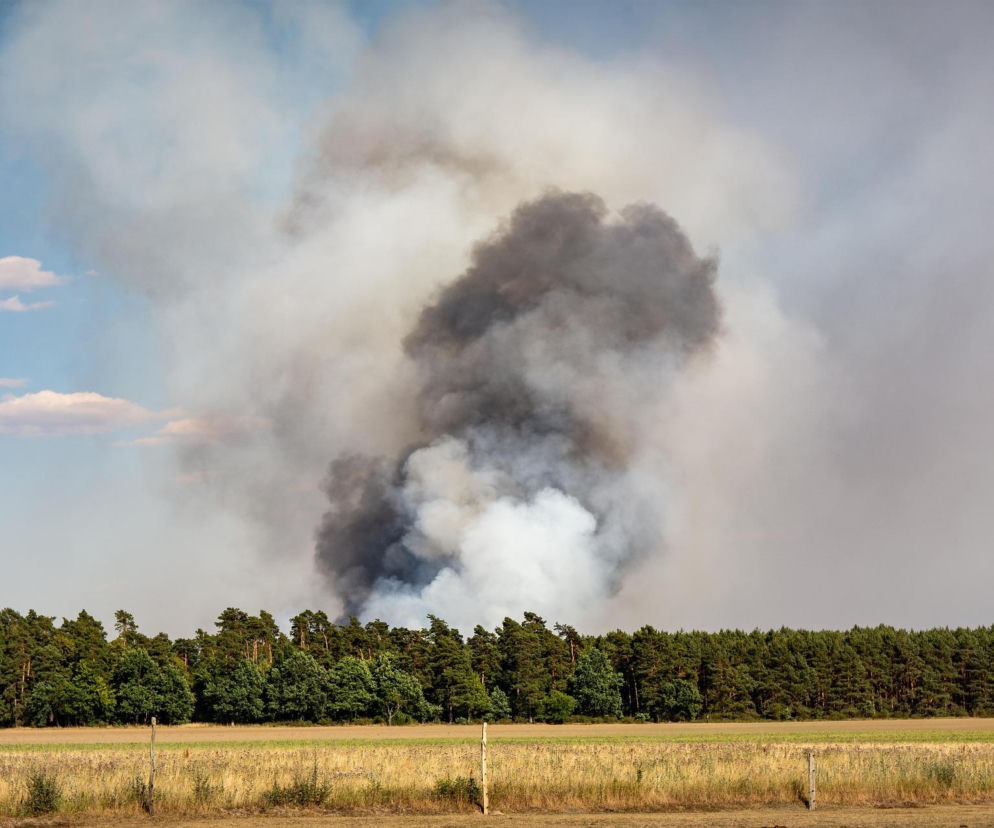 Ogień w lesie? Strażacy apelują o ostrożność. Po deszczach jest lepiej, ale zagrożenie może wrócić