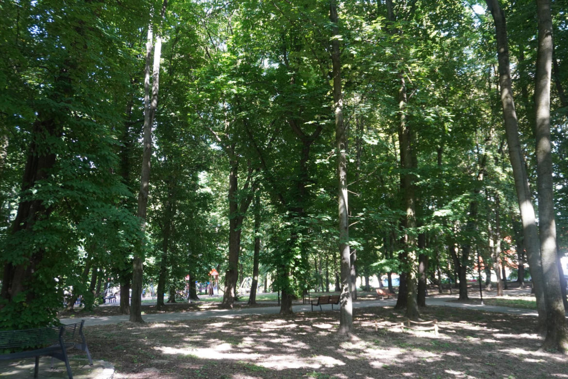Park Miejski w Sandomierzu