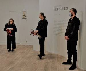 HERBARIUM Łukasza Surowca
