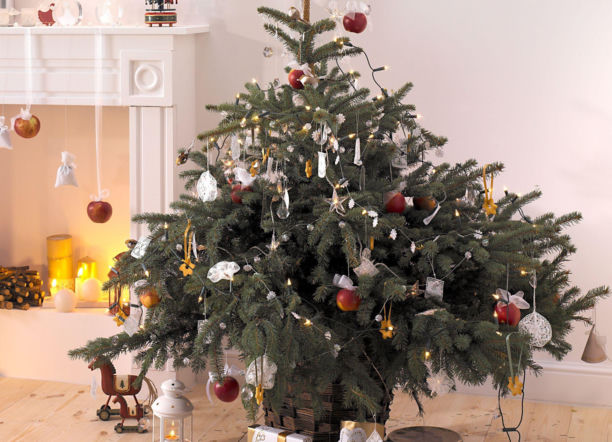 Takich bombek nie może zabraknąć na choince. Zawieś je, a przyciągniesz szczęście i odpędzisz pecha