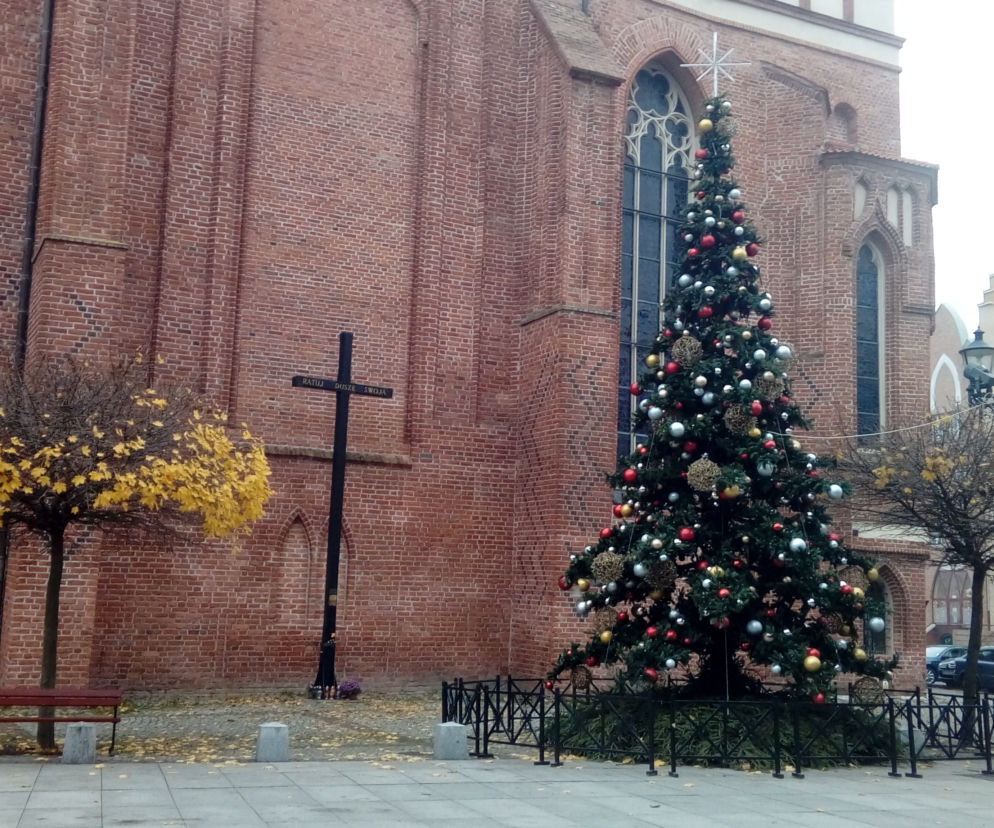 Choinka Miejska na elbląskiej Starówce