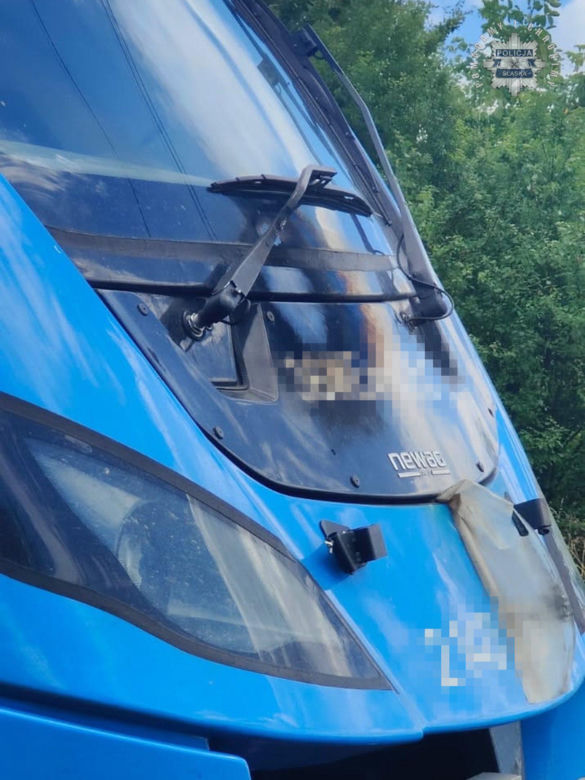 Ewakuacja pasażerów pociągu w Tychach