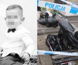 Śmierć Milanka na cmentarzu. Prokuratura SZOKUJE. Nowe fakty są wstrząsające 