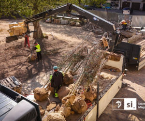 Nowe nasadzenia na Pl. Orła Białego