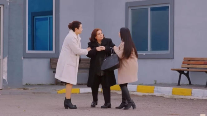 Miłość i nadzieja odc. 339. Cavidan, Naciye, Bahar