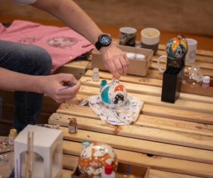 Bombki na ratunek ziwerzakom