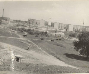 Archiwalne zdjęcia Starachowic