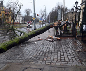 Wichury nad Polską