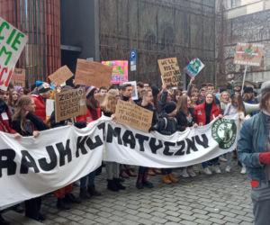 Wielki protest w Krakowie. Strajkowali w obronie klimatu 