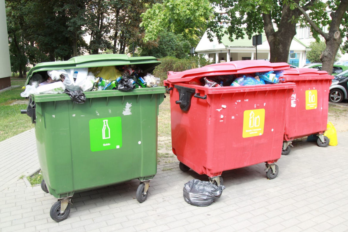 Szczury włażą nam do mieszkań 