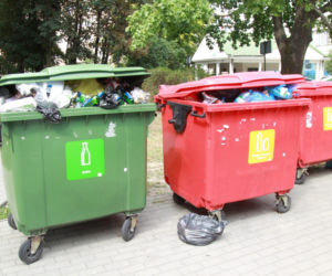 Szczury włażą nam do mieszkań 
