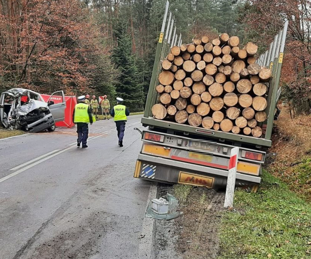 Śmiertelny wypadek w Zwierzyńcu