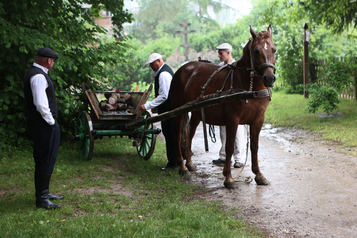 Jarmark koński w Muzeum Wsi Lubelskiej