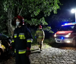 Tragiczny wypadek pod Braniewem. Audi wbiło się w drzewo. Nie żyje 19-latek [ZDJĘCIA]