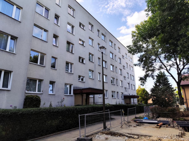 Sąsiedzi byli świadkami makabrycznych scen. 70-latka nie żyje, jej syn trafił do szpitala