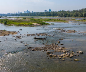 Niski stan wody w Wiśle w Warszawie, 5.08.2026