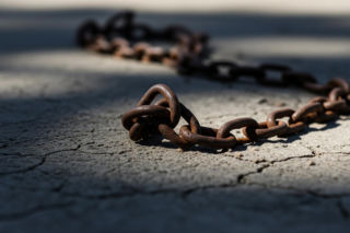 Skandaliczny los psa na łańcuchu. Co ujawniła interwencja służb?