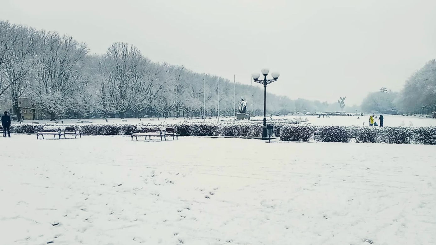 Pierwszy śnieg w Szczecinie