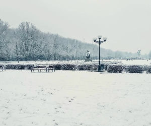 Pierwszy śnieg w Szczecinie