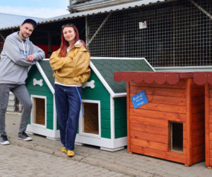 222 budy i setki zaangażowanych osób - wspólna akcja Castorama Polska i Fundacji Team Litewka dla bezdomnych zwierząt