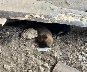 Sprawa ma swój dalszy, poważny ciąg