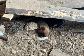 Sprawa ma swój dalszy, poważny ciąg