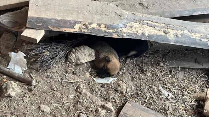 Sprawa ma swój dalszy, poważny ciąg