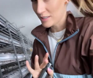 Ten manicure będzie hitem 2026 roku! Kamili Boś pokazała, że jest idealny na co dzień