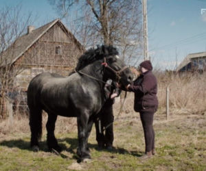 Program Rolnicy. Podlasie sezon 2