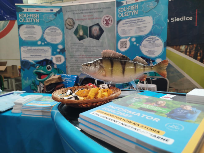 18. Siedleckie Targi Edukacyjne 2026 zgromadziły setki zwiedzających!