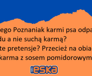 Najlepsze dowcipy o Poznaniu
