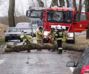 Wichura na Warmii i Mazurach. Silny wiatr łamał drzewa