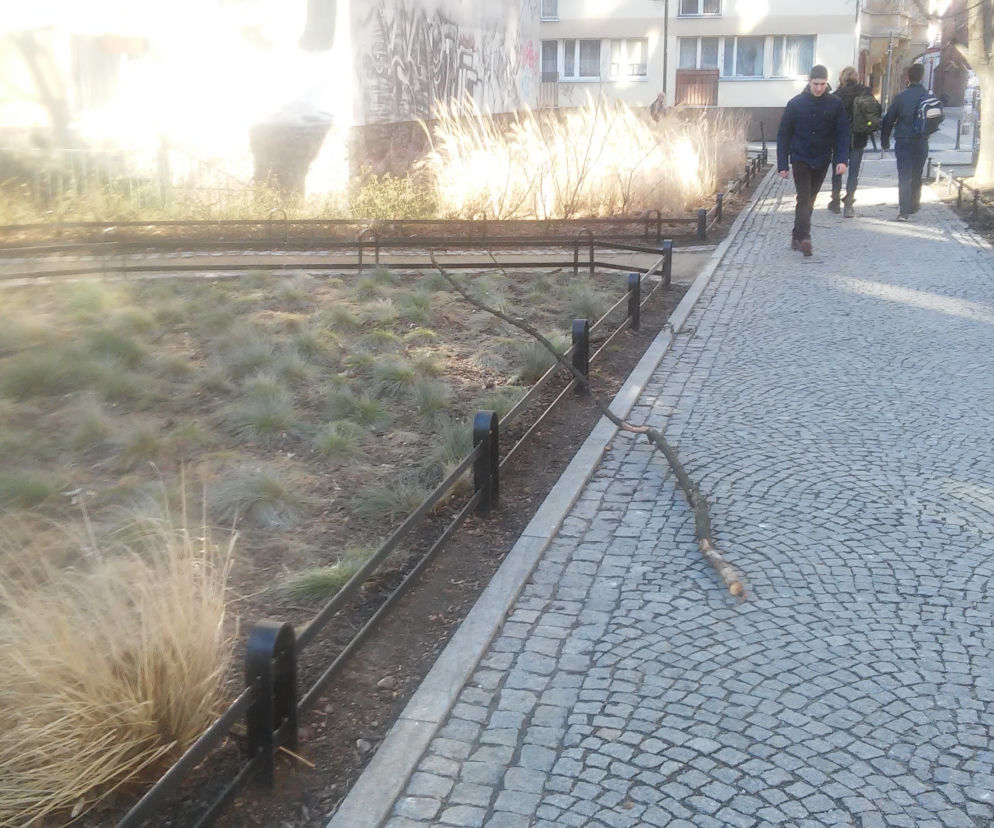W wielu miejscach leżą pozrywane gałęzie