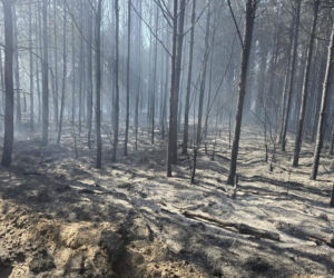 Potężny pożar lasu w powiecie chojnickim. 400-metrowy front ognia