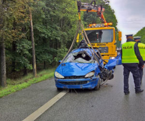 Wypadek na DK81 w Orzeszu