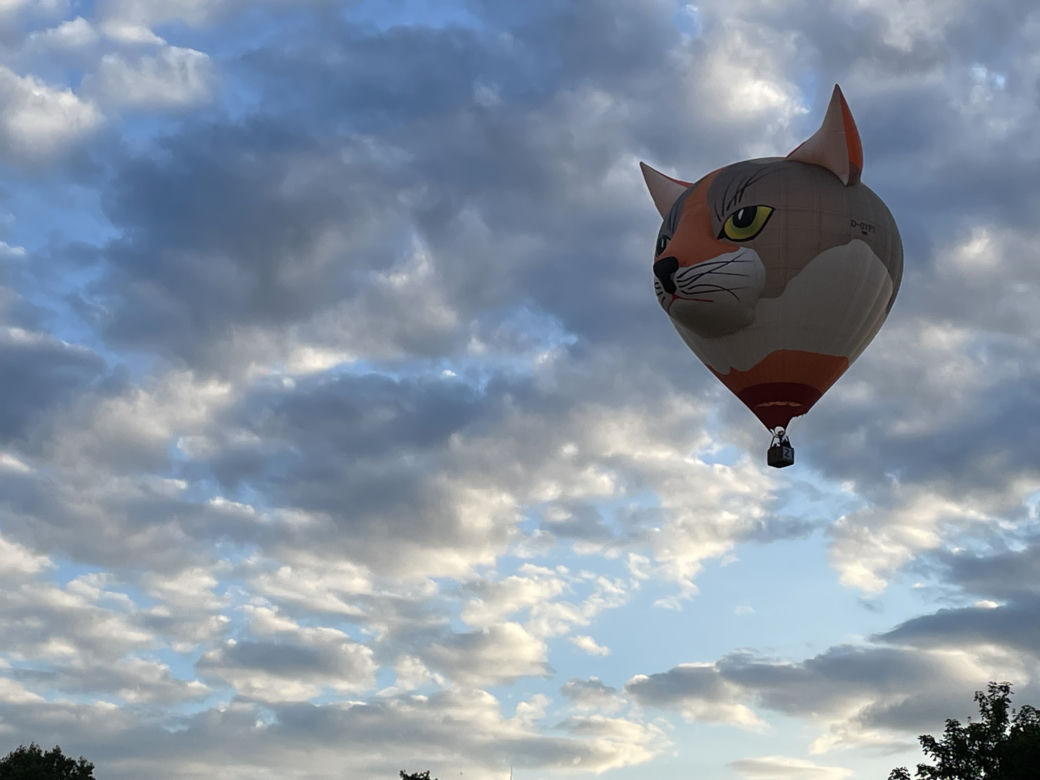 Festiwal Balonowy W Szczecinku 2 