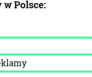 programiści