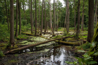 Bagna, rzeki i inne mokradła. W Lublinie uczniowie poznają lepiej podmokłe tereny