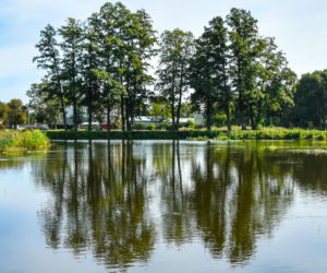 Miasto z Klimatem. Białystok zwyciężył w ogólnopolskim konkursie [ZDJECIA]