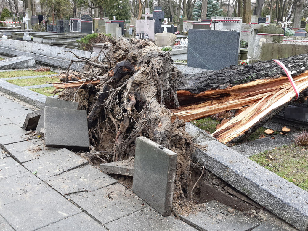 Wichura zdemolowała stołeczne nekropolie. Kompletna ruina na cmentarzach 