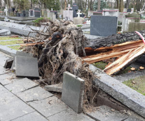 Wichura zdemolowała stołeczne nekropolie. Kompletna ruina na cmentarzach 