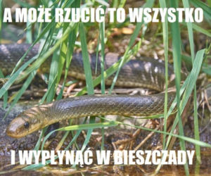 PYTON W MEMACH