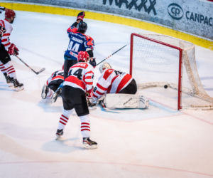 Comarch Cracovia - KH Energa Toruń 0:5, zdjęcia z piątkowego meczu Polskiej Hokej Ligi