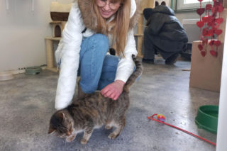 Mruczki w roli głównej. Dzień Kota w schronisku dla bezdomnych zwierząt w Henrykowie [ZDJĘCIA]