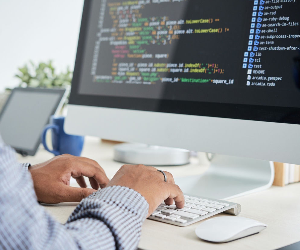 Programista Python – jak nim zostać?
