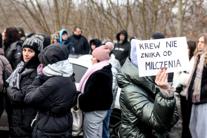 Miał być protest milczenia, doszło do awantury. Gorąco pod schroniskiem w Bytomiu