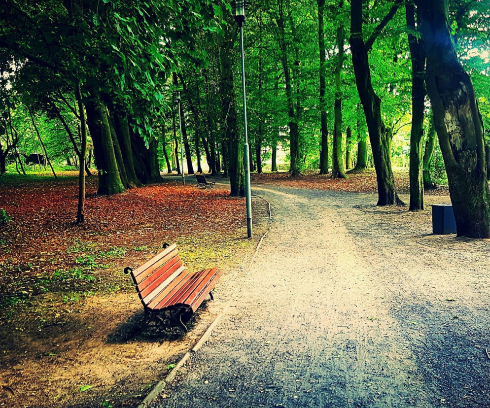 Park Chopina