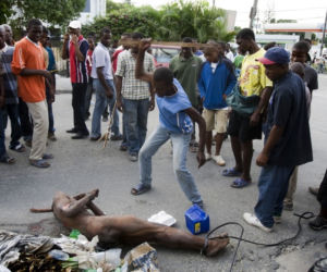 Haiti: Szabrownik ukarany