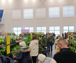 Festiwal Roślin w Enea Arenie